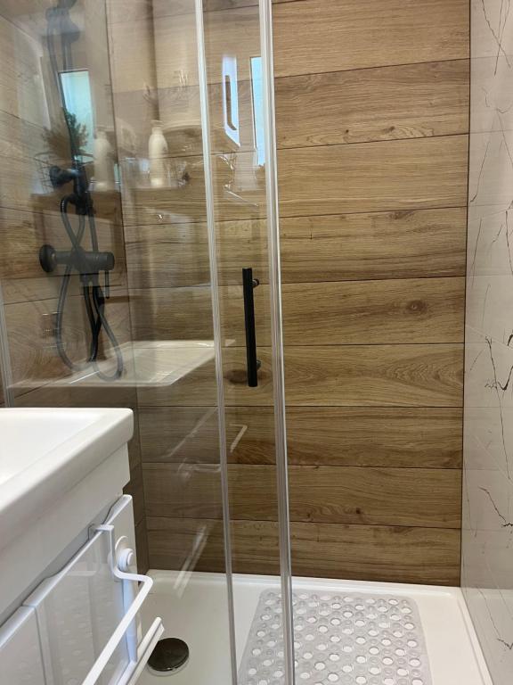 a shower with a glass door in a bathroom at City apartment Blue Vibes in Pula