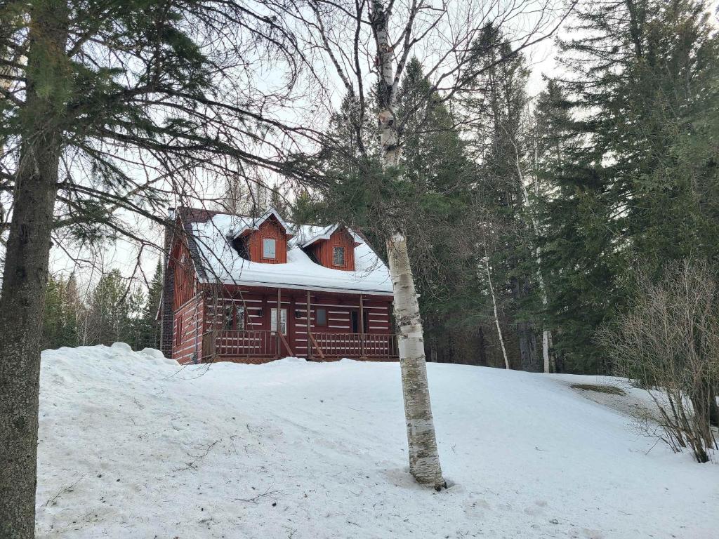 a log cabin with snow on top of it at Chalet Natura Versailles Spa and River in Saint Come