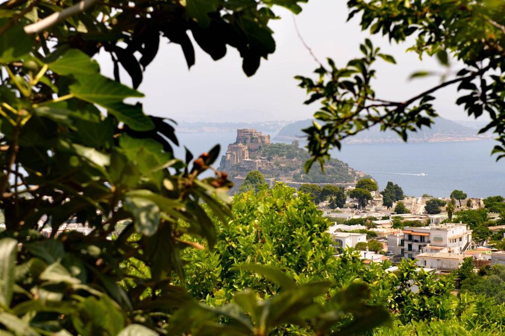 a view of the amalfi coast through the trees at Panorama Carmelina in Ischia