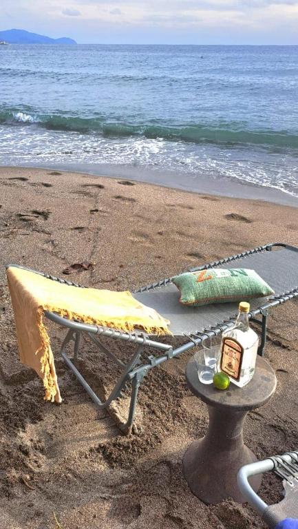 a chair and a table on the beach at Studio bord de mer in Schœlcher