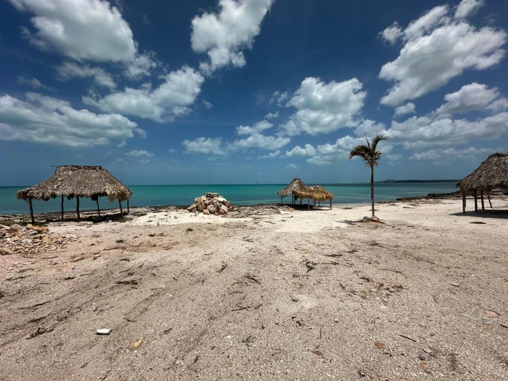 a beach with some straw umbrellas and a palm tree at Oneira Seybaplaya apartments private and exclusive in Seybaplaya