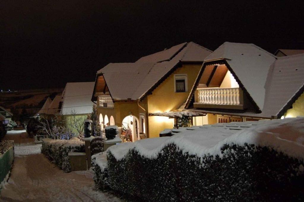 Apartment in Heviz/Balaton 18892 v zime