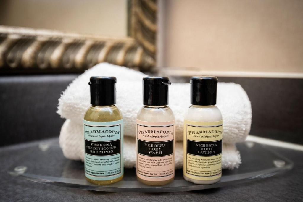 Sandman Suites Vancouver on Davie - Resim 28