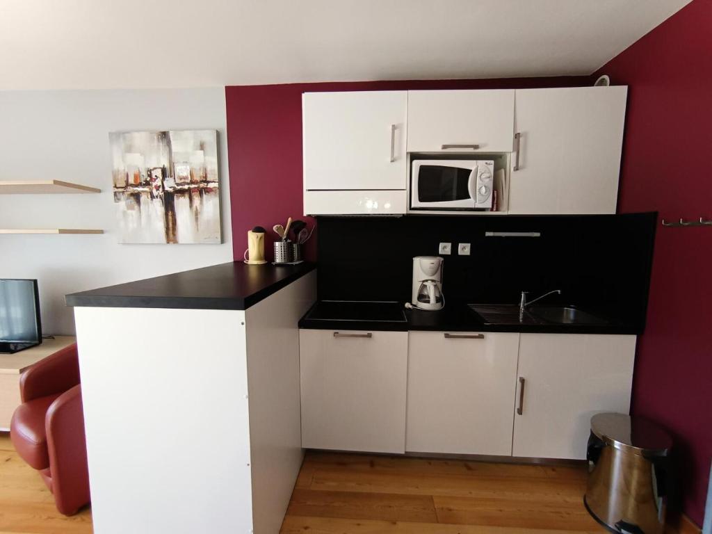 Kuchyňa alebo kuchynka v ubytovaní Résidence Durance - Grand studio moderne pour 4 personnes MAE-8564