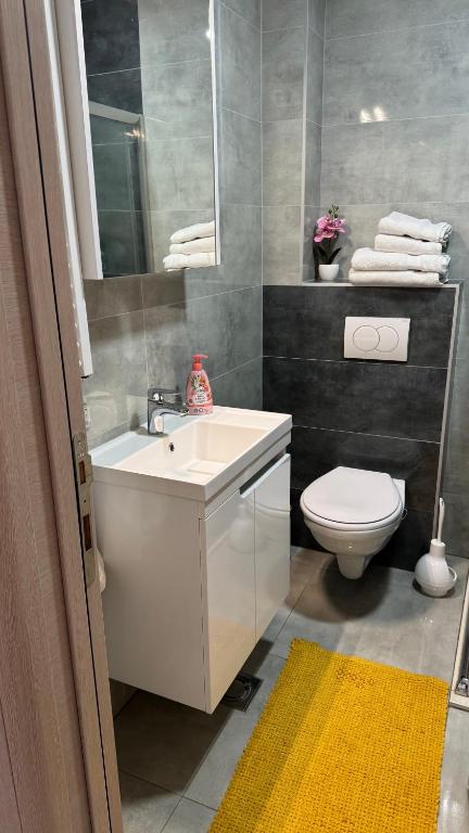 Koupelna v ubytování Apartman Pazova