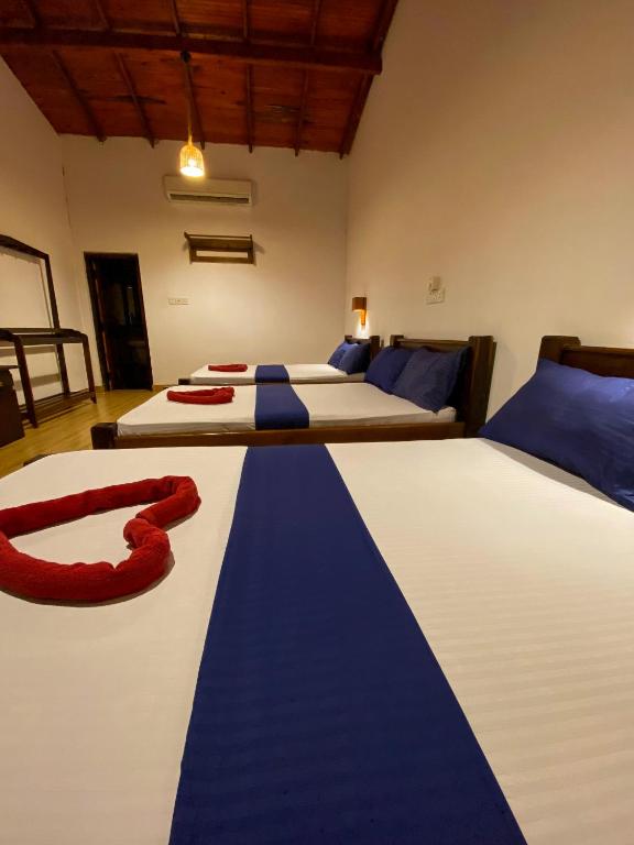 a room with two beds with blue and white sheets at Oasis Bay - Arugam Bay in Arugam Bay
