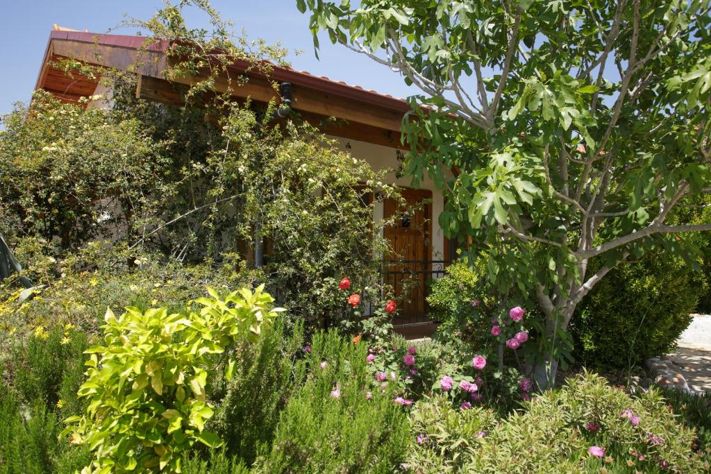 Zahrada ubytování Ionia Guest House
