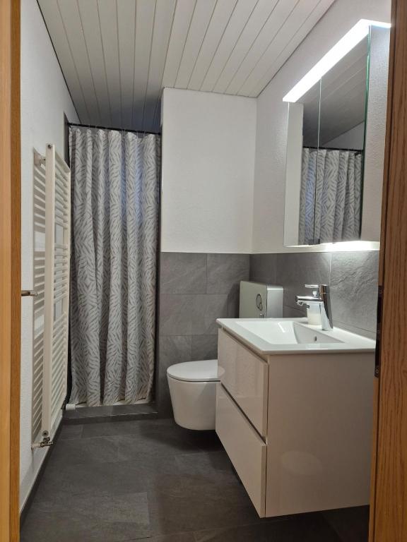 Koupelna v ubytování Apartment for 3, close to Zurich and Luzern, free private parking