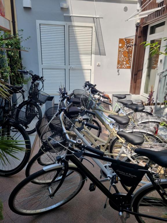 Jízda na kole v ubytování Bella Pescara B&B nebo okolí