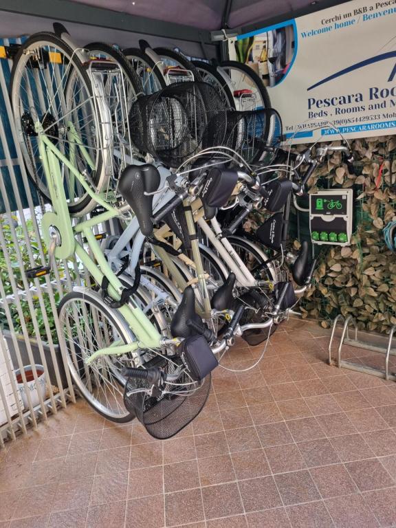 Jízda na kole v ubytování Bella Pescara B&B nebo okolí
