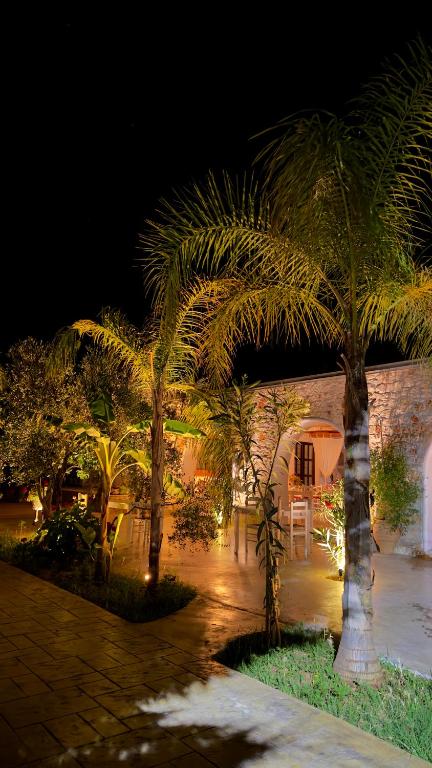a group of palm trees in a courtyard at night at Rida Village Ksamil Island in Ksamil