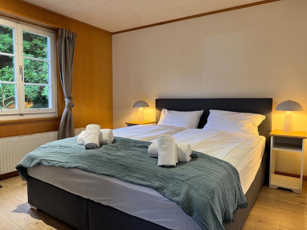 River 3 - Kissed Retreat with Iconic Jungfraujoch View - Resim 11