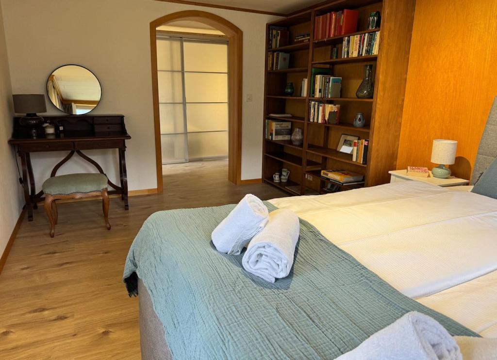 River 3 - Kissed Retreat with Iconic Jungfraujoch View - Resim 8