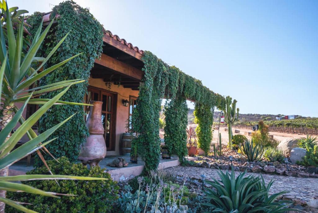En'kanto Valle de Guadalupe