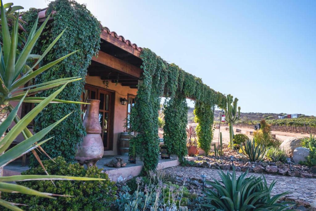 En'kanto Valle de Guadalupe