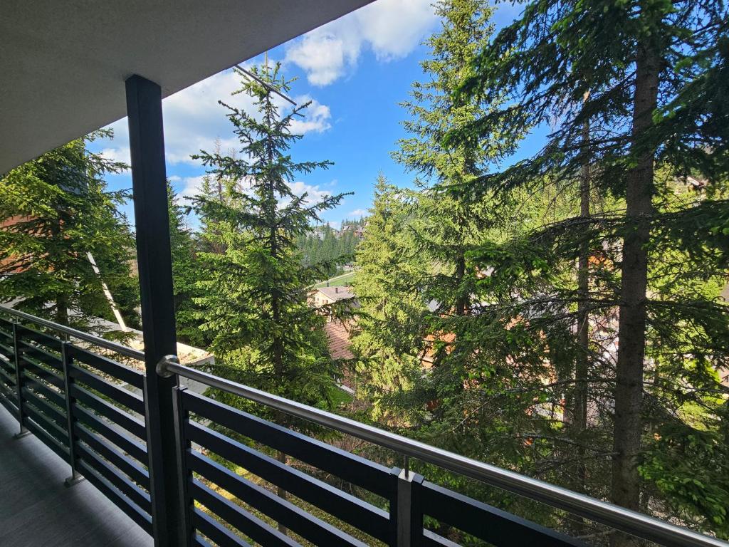 Příroda nedaleko apartmánu