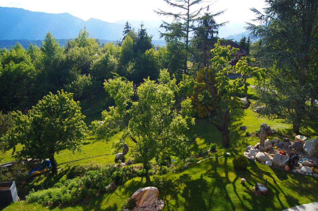 eine Gruppe von Menschen, die auf einem Feld mit Bäumen sitzen in der Unterkunft Appartement Györi. in Millstatt