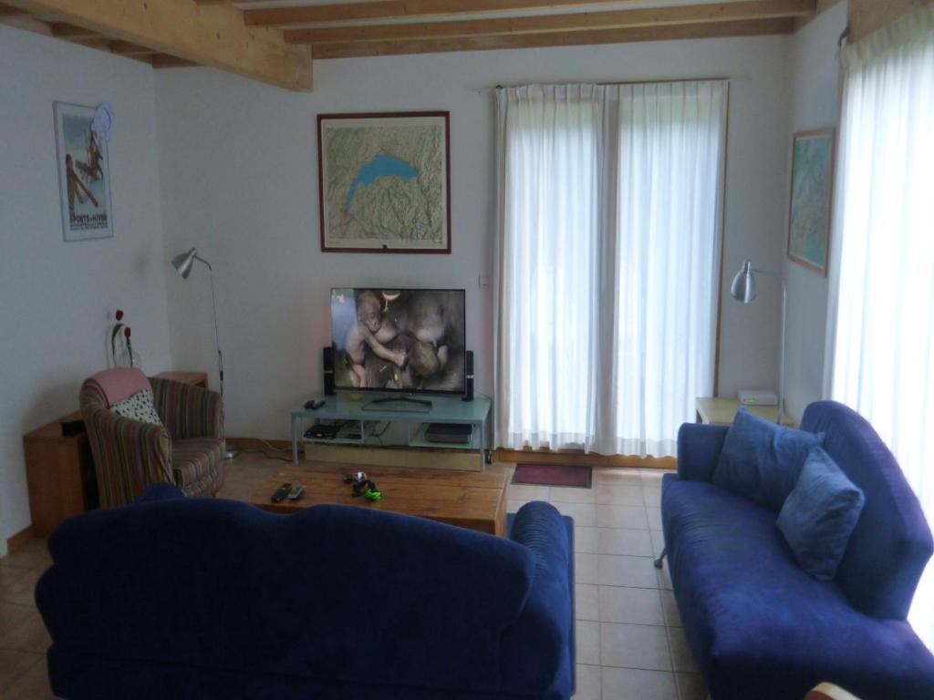 - un salon avec deux canapés bleus et une télévision dans l'établissement Chalet in Saint-Jean near Ski Lift, cleaning included, à Saint-Jean-dʼAulps
