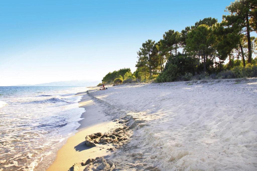 une plage de sable avec des arbres et l'océan dans l'établissement Apartment in Ghisonaccia near Sandy Beach, cleaning included, à Ghisonaccia