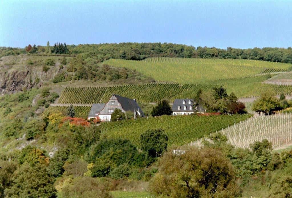 Gut Hermannsberg, Gästehaus - Apartment - Ground Floor