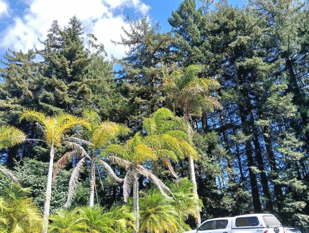Woodlands Motel - Resim 18