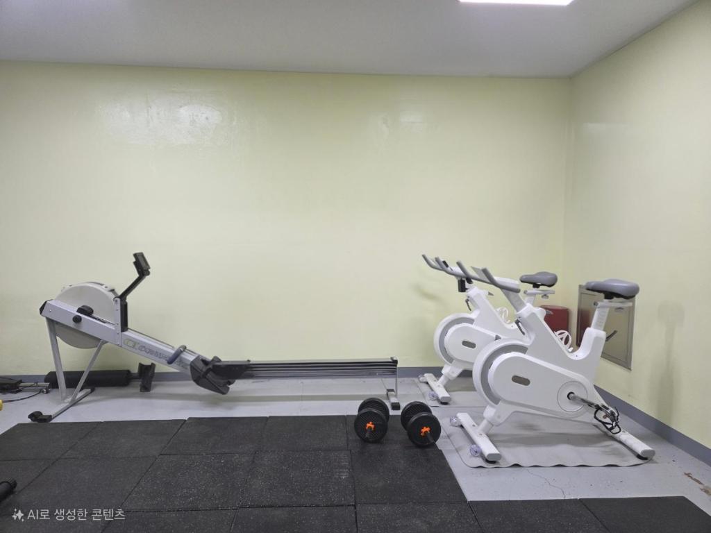 Fitness centrum a/nebo fitness zařízení v ubytování Brown Dot Hotel Gyeongju