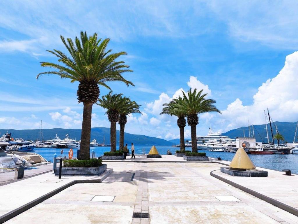 a row of palm trees on a sidewalk next to a marina at Green lime in Tivat