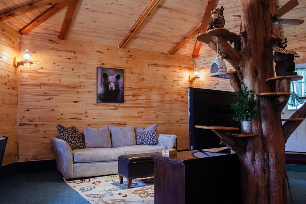 Χώρος καθιστικού στο Bear Necessities Cabin, Mesa Verde Getaway