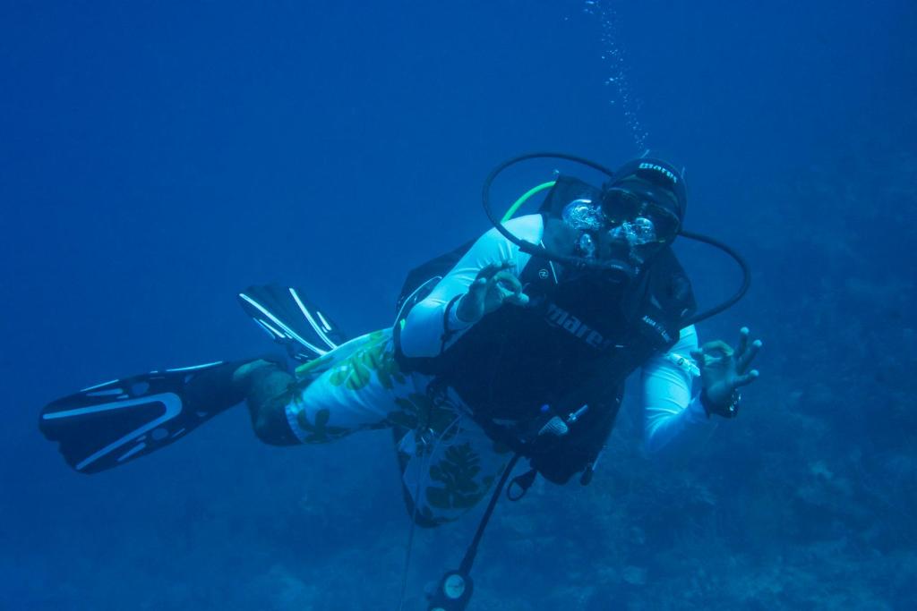Majutusasutuse Seagrape Plantation Resort & Dive Center külastajad
