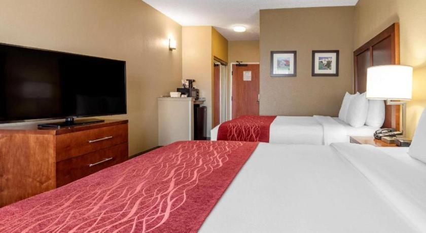 Comfort Inn DFW Airport Northにあるベッド