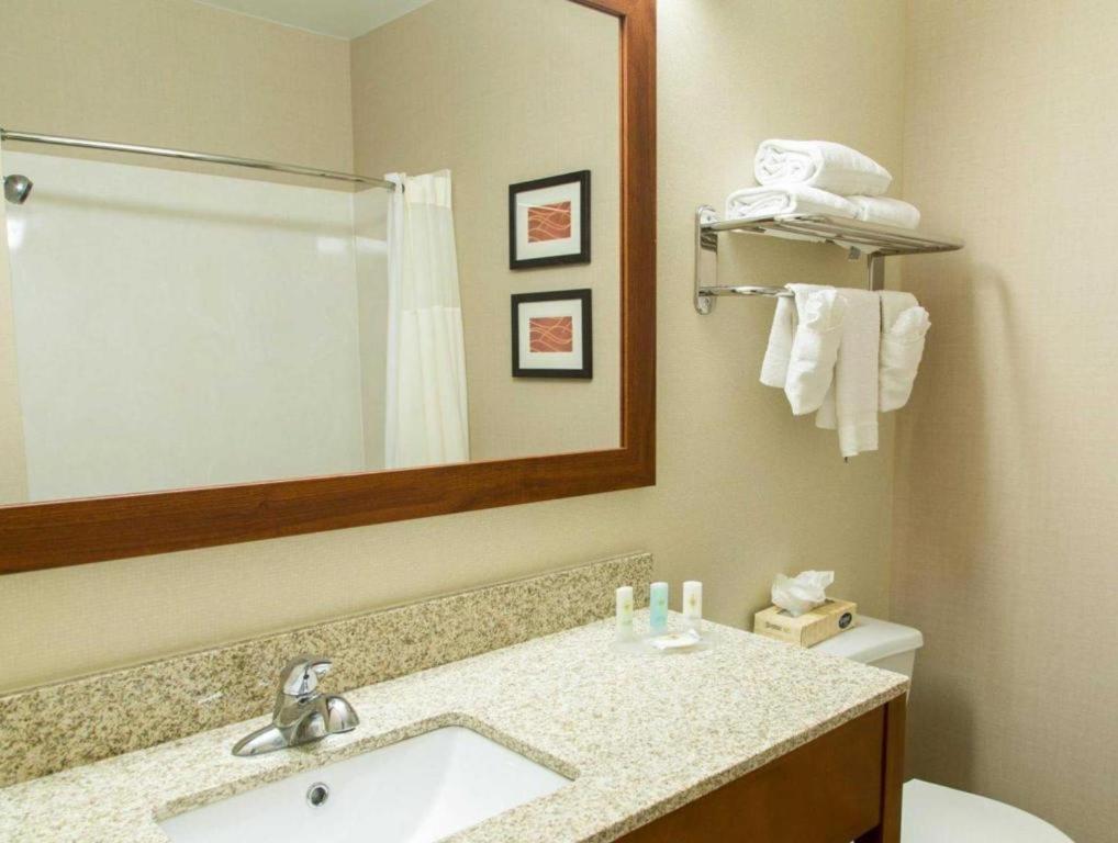 Comfort Inn DFW Airport Northにあるバスルーム