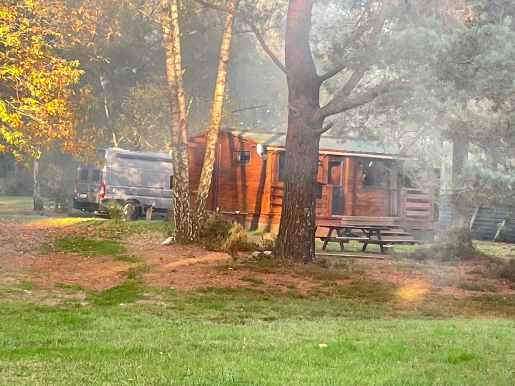 Zahrada ubytování Chalet dans les bois