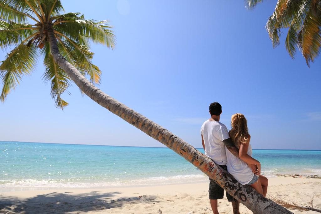 Příroda nedaleko penzionu