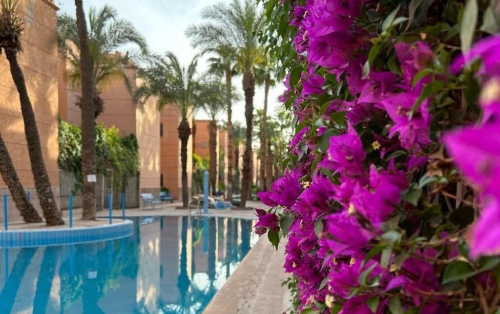 Le Riad l'étoile beldi — photo 5
