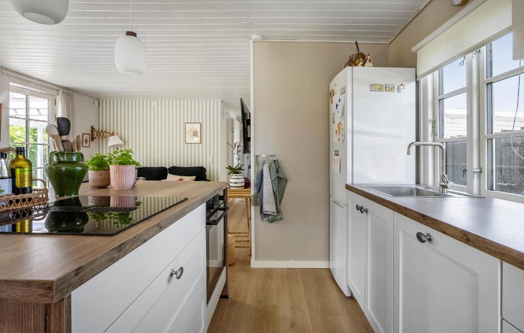 a kitchen with white cabinets and a white refrigerator at Nice Home In Haderslev With Wifi in Haderslev