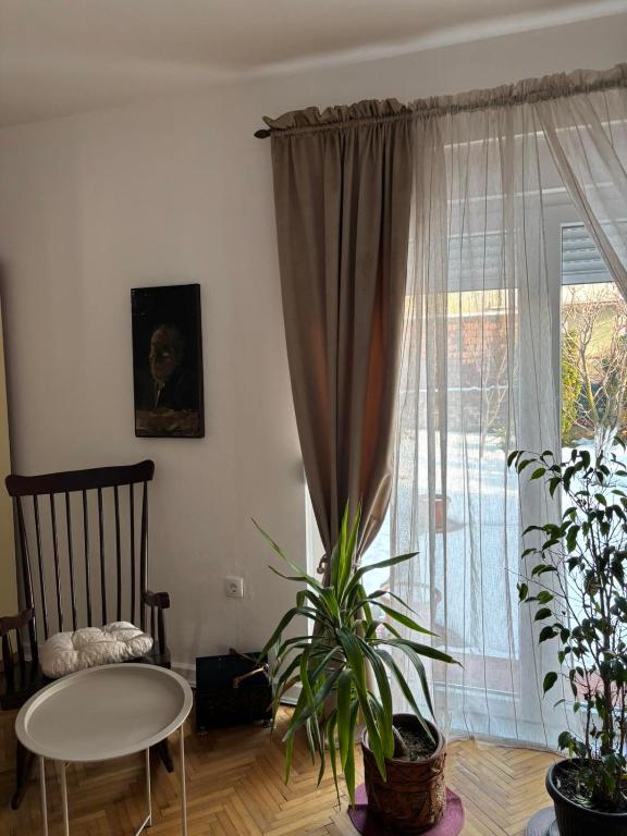 Fotografie z fotogalerie ubytování Apartmani IDILA v destinaci Smederevo