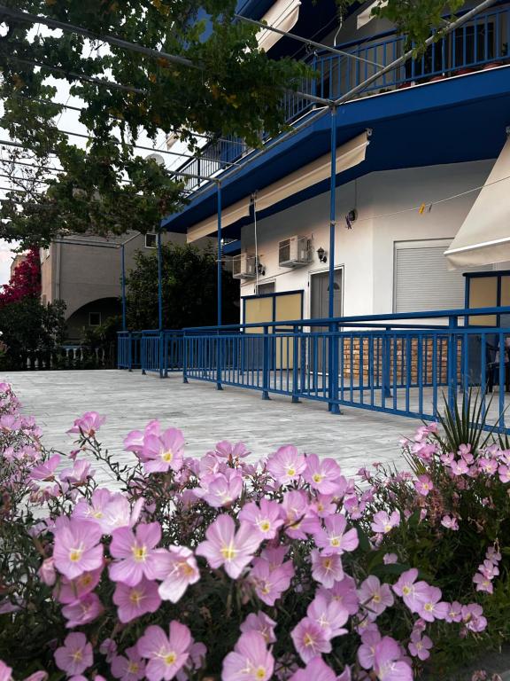 Fotografia z galérie ubytovania House Stamatis v Sárti