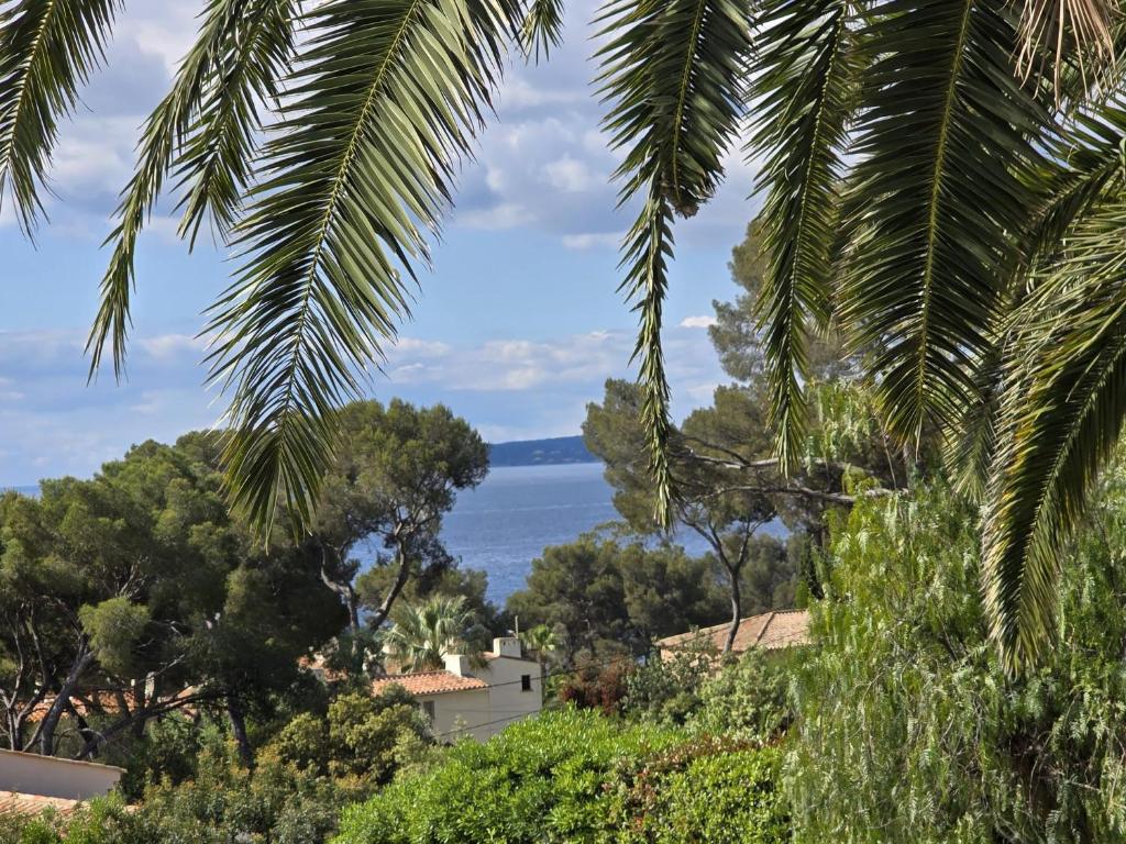 - une vue sur l'océan depuis un palmier dans l'établissement La Caravelle grande villa vue mer piscine 5x11, aux Issambres