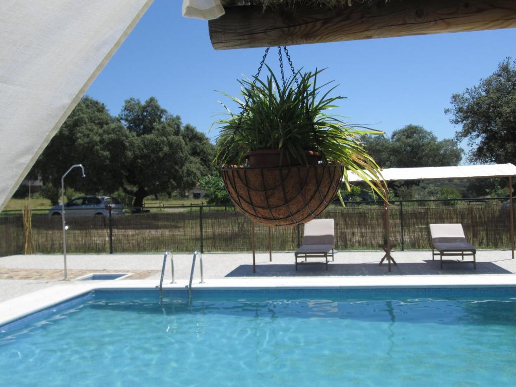 a pool with two chairs and a potted plant at Los Chozos de la Roca in La Roca de la Sierra