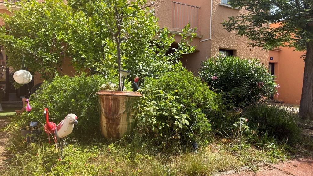 Vonkajšia záhrada v ubytovaní Résidence haut de gamme - 45m2 refait à neuf en juin 2024 avec très grande piscine chauffée