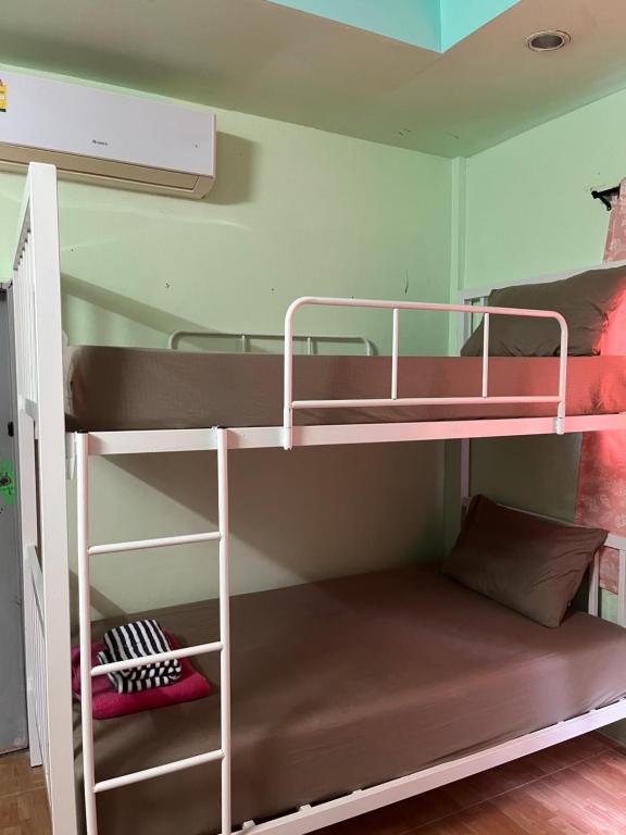 Palanda nebo palandy na pokoji v ubytování Boy Scouts Homestay