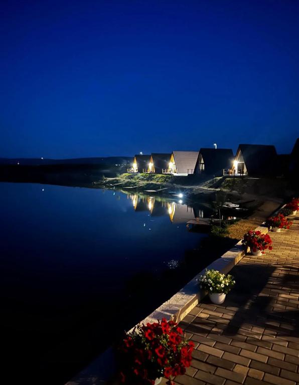 a view of a lake at night at Lagos Lac de Pescuit in Boiştea-Boerească