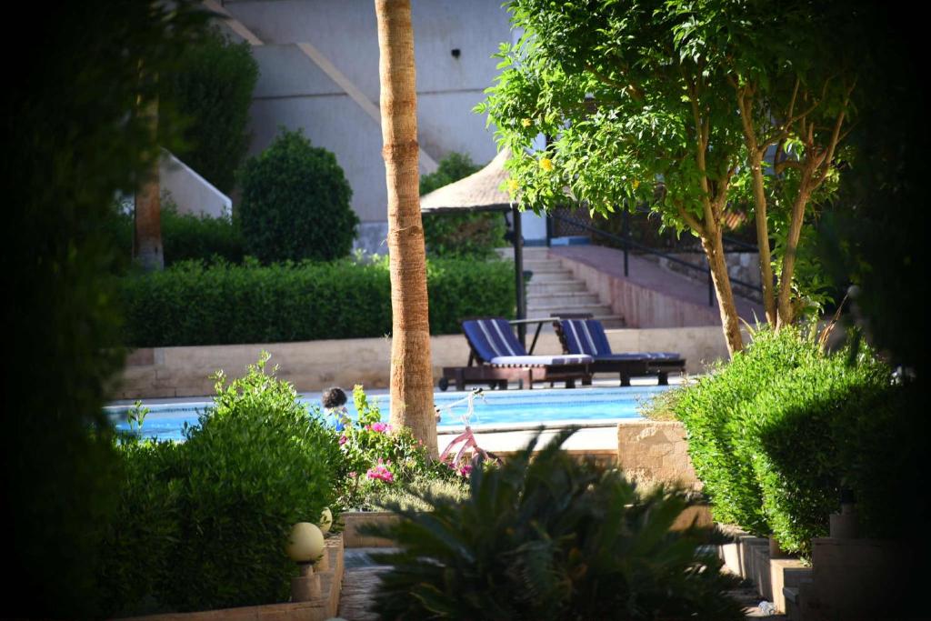 沙姆沙伊赫Suite Deluxe Vip Sharm El Sheik的一个带2把躺椅和树木的游泳池