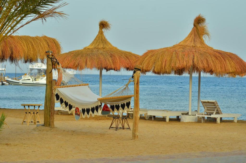 Sun Beach Hotel ABO SOMA - 14