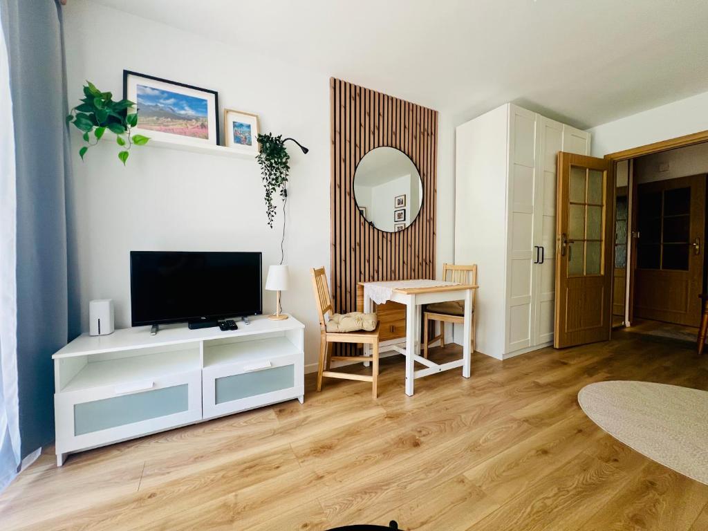 Μια τηλεόραση ή/και κέντρο ψυχαγωγίας στο Apartament Babci Danusi Przy Krupówkach
