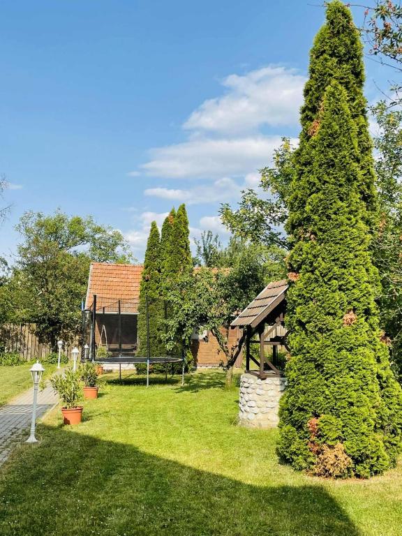 Zahrada ubytování Szilvásvárad Camping & Apartman