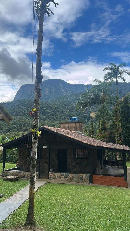 a building with a palm tree in front of it at Chácara bello Rio in Guaratuba