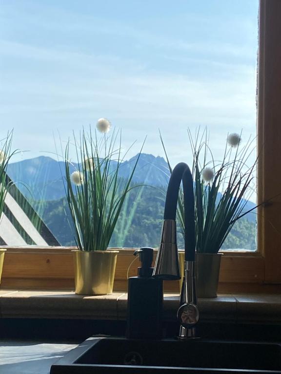 Holiday Home Krzysztoforow - 3