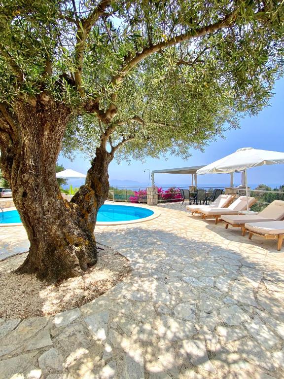 a tree next to a pool with chairs and umbrellas at Federico Villa in Khalikerí