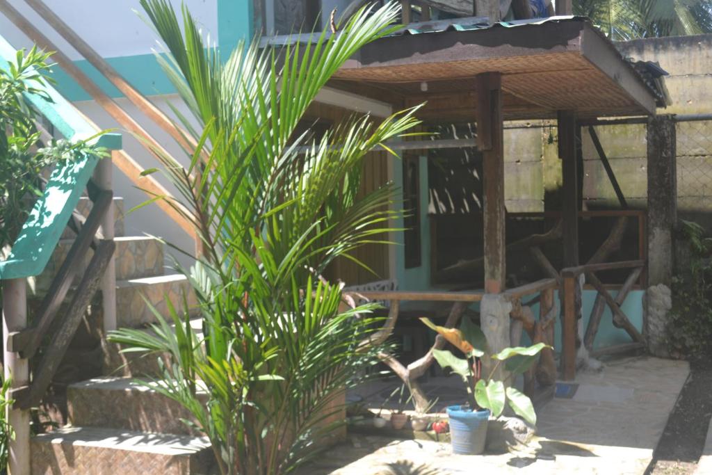 Zahrada ubytování SHENAMAE Pension&Apartel